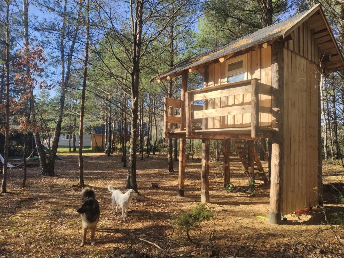 Villa Siedlisko Soce Agroturystyka Exterior foto